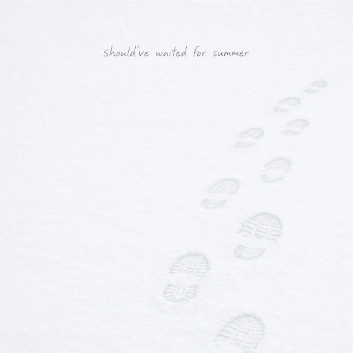 Snow Prints — Should've Waited For Summer